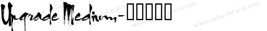 Upgrade Medium字体转换